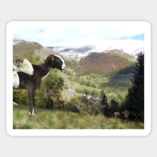 Pyrenees sheep and summer landscape Sticker